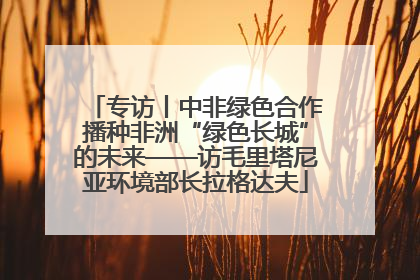 专访丨中非绿色合作播种非洲“绿色长城”的未来——访毛里塔尼亚环境部长拉格达夫