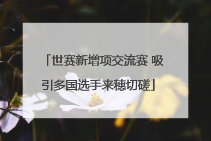 世赛新增项交流赛 吸引多国选手来穗切磋