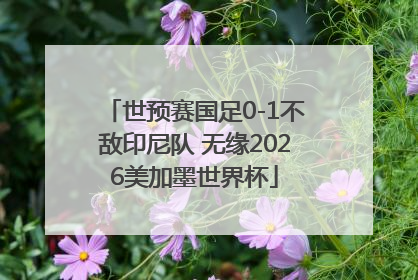 世预赛国足0-1不敌印尼队 无缘2026美加墨世界杯