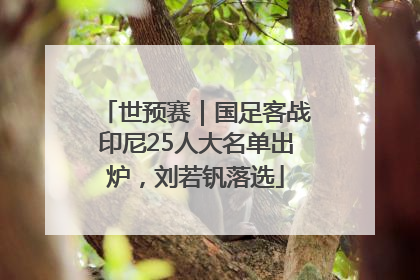 世预赛｜国足客战印尼25人大名单出炉，刘若钒落选