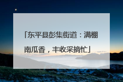 东平县彭集街道：满棚南瓜香，丰收采摘忙