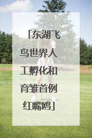 东湖飞鸟世界人工孵化和育雏首例红嘴鸥