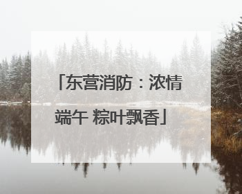 东营消防：浓情端午 粽叶飘香
