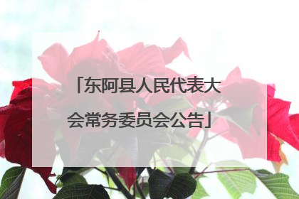 东阿县人民代表大会常务委员会公告