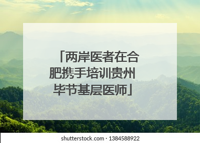 两岸医者在合肥携手培训贵州毕节基层医师