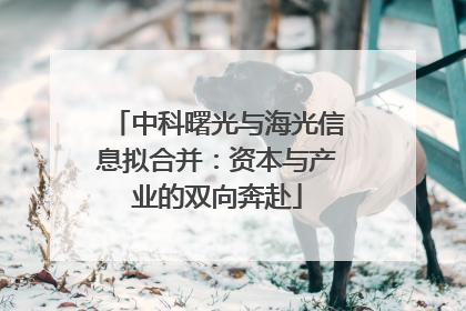中科曙光与海光信息拟合并：资本与产业的双向奔赴