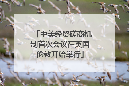 中美经贸磋商机制首次会议在英国伦敦开始举行