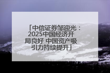 中信证券邹迎光：2025中国经济开局良好 中国资产吸引力持续提升