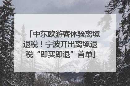 中东欧游客体验离境退税！宁波开出离境退税“即买即退”首单