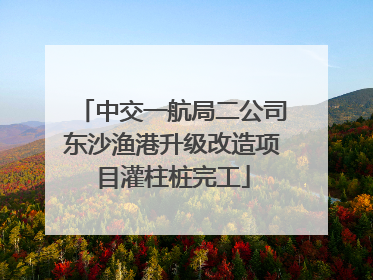 中交一航局二公司东沙渔港升级改造项目灌柱桩完工