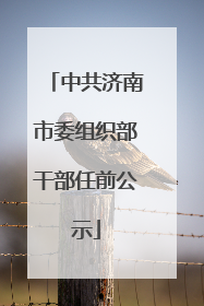 中共济南市委组织部干部任前公示