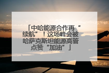中哈能源合作再“续航”！这场峰会被哈萨克斯坦能源高管点赞“加油”