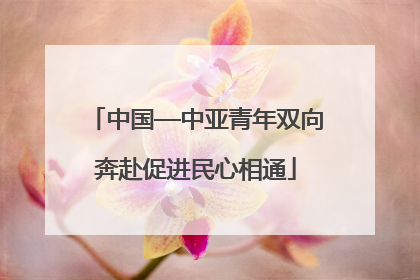 中国—中亚青年双向奔赴促进民心相通