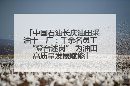 中国石油长庆油田采油十一厂：千余名员工“登台述岗” 为油田高质量发展赋能