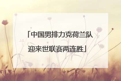 中国男排力克荷兰队 迎来世联赛两连胜