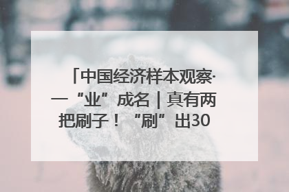 中国经济样本观察·一“业”成名｜真有两把刷子！“刷”出30亿级“颜值经济”