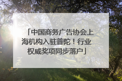 中国商务广告协会上海机构入驻普陀！行业权威奖项同步落户
