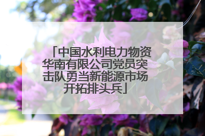 中国水利电力物资华南有限公司党员突击队勇当新能源市场开拓排头兵