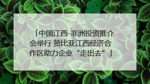 中国江西-非洲投资推介会举行 赞比亚江西经济合作区助力企业“走出去”