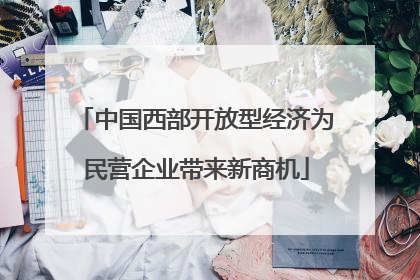 中国西部开放型经济为民营企业带来新商机