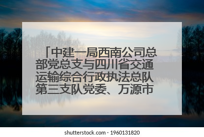 中建一局西南公司总部党总支与四川省交通运输综合行政执法总队第三支队党委、万源市草坝镇莲花院村党支部开展党建联建