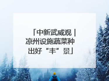 中新武威观｜凉州设施蔬菜种出好“丰”景