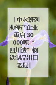 中老班列助停产企业重启 30000吨“四川造”钢铁制品出口老挝