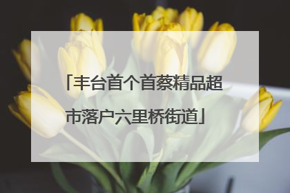 丰台首个首蔡精品超市落户六里桥街道