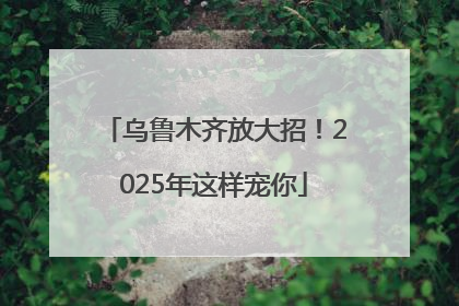 乌鲁木齐放大招！2025年这样宠你