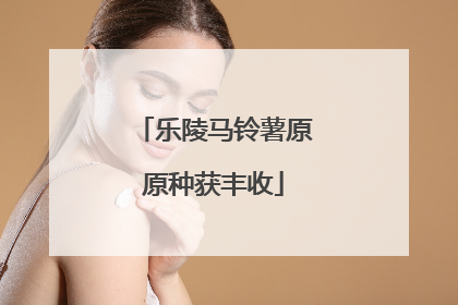 乐陵马铃薯原原种获丰收