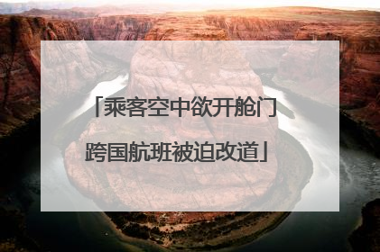 乘客空中欲开舱门 跨国航班被迫改道