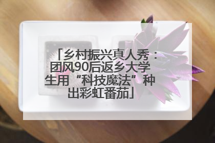 乡村振兴真人秀：团风90后返乡大学生用“科技魔法”种出彩虹番茄