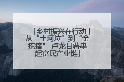 乡村振兴在行动丨从“土坷垃”到“金疙瘩” 卢龙甘薯串起富民产业链