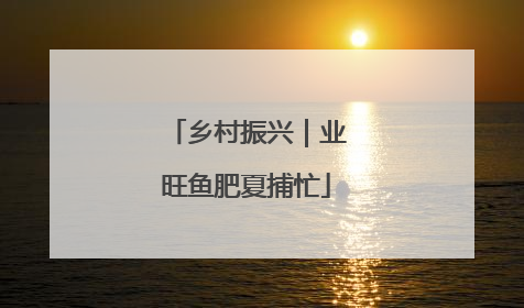 乡村振兴｜业旺鱼肥夏捕忙