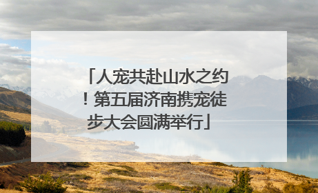 人宠共赴山水之约！第五届济南携宠徒步大会圆满举行