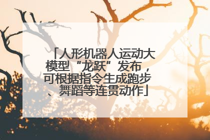 人形机器人运动大模型“龙跃”发布，可根据指令生成跑步、舞蹈等连贯动作