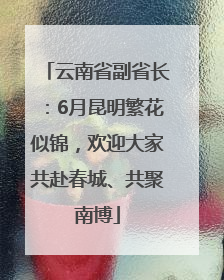 云南省副省长：6月昆明繁花似锦，欢迎大家共赴春城、共聚南博