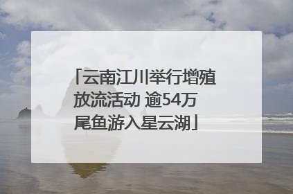 云南江川举行增殖放流活动 逾54万尾鱼游入星云湖