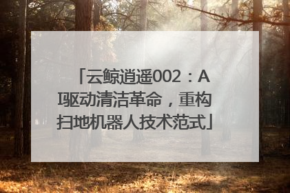 云鲸逍遥002：AI驱动清洁革命，重构扫地机器人技术范式