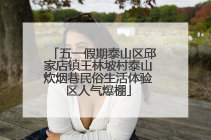 五一假期泰山区邱家店镇王林坡村泰山炊烟巷民俗生活体验区人气爆棚