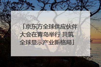 京东方全球供应伙伴大会在青岛举行 共筑全球显示产业新格局