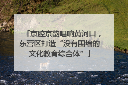 京腔京韵唱响黄河口，东营区打造“没有围墙的文化教育综合体”
