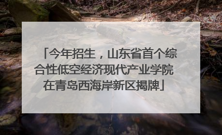 今年招生，山东省首个综合性低空经济现代产业学院在青岛西海岸新区揭牌