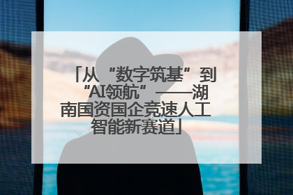 从“数字筑基”到“AI领航”——湖南国资国企竞速人工智能新赛道