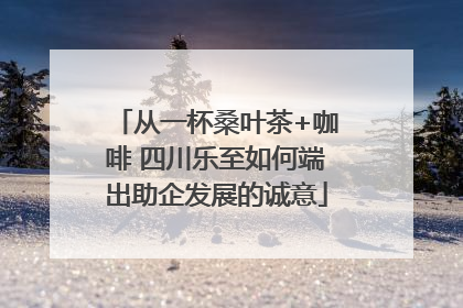 从一杯桑叶茶+咖啡 四川乐至如何端出助企发展的诚意