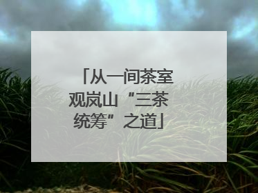 从一间茶室观岚山“三茶统筹”之道