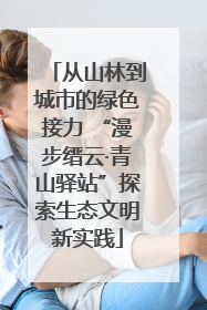 从山林到城市的绿色接力 “漫步缙云·青山驿站”探索生态文明新实践