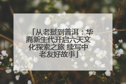 从老挝到普洱：华裔新生代开启六天文化探索之旅 续写中老友好故事
