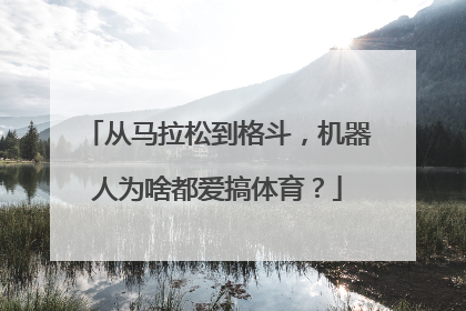 从马拉松到格斗，机器人为啥都爱搞体育？