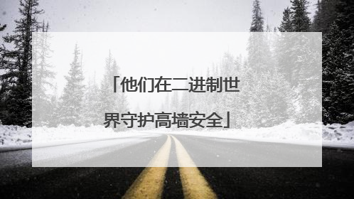 他们在二进制世界守护高墙安全